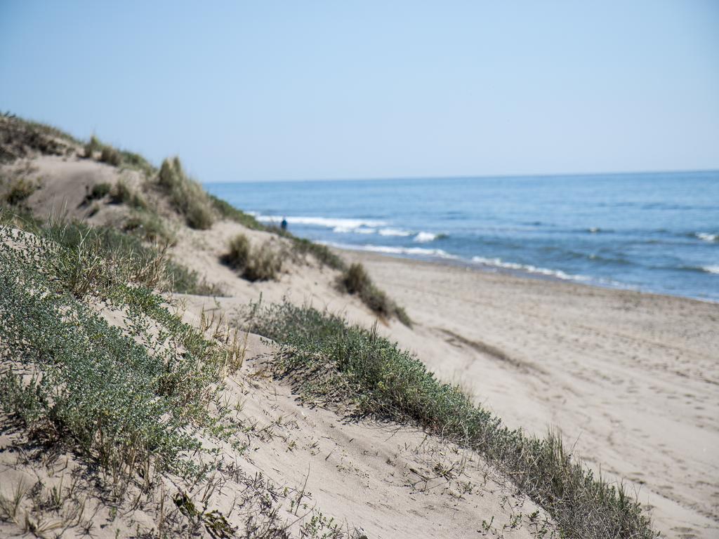 Wood House Close Beach Marbella Buitenkant foto